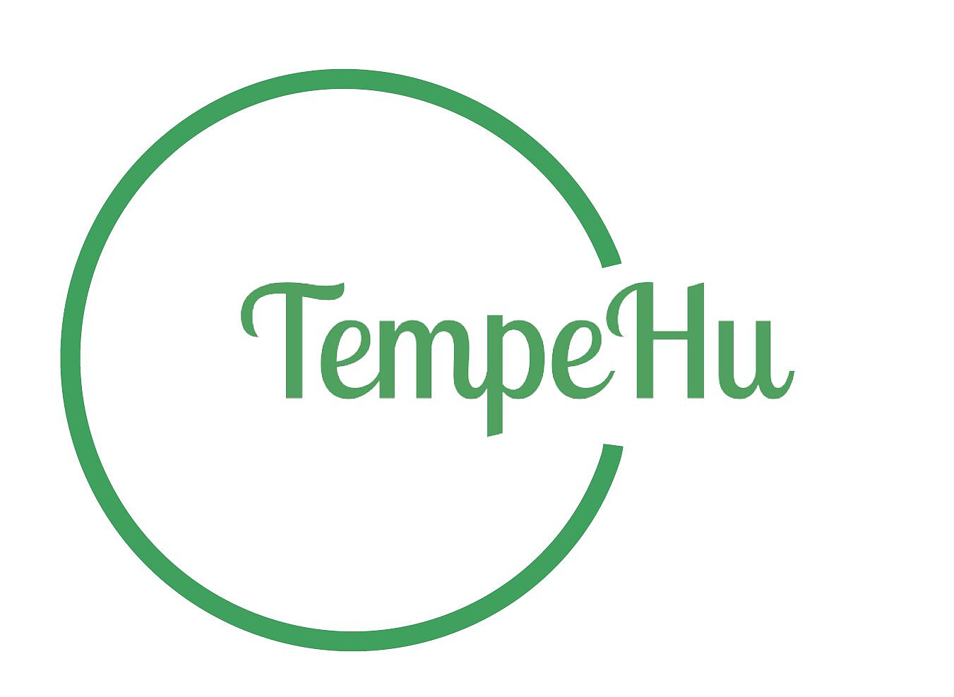 tempu.jpg [41.08 KB]