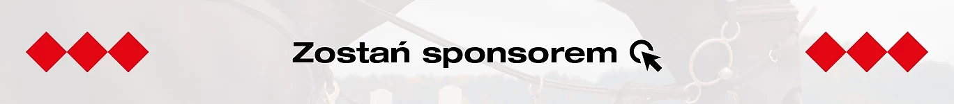 hippikon-baner-zostan-sponsorem.png [124.90 KB]