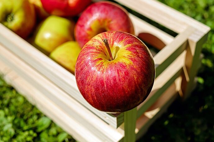 apple-1589869-1280.jpg