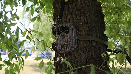 Fotopułapka z szyfrowaniem AES128 TV-6360MA/WMA -SF MMS 4G- wersja z GPS