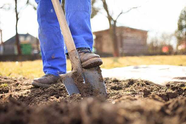 istockphoto-1225060433-612x612.jpg