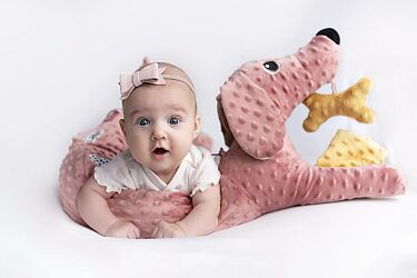 Sensory Dachshund Toy pink