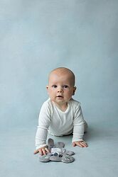 Crinkly Koala Comforter