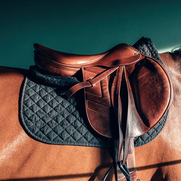 hippikon-zostan-wystawca-foto-02.jpg [273.57 KB]