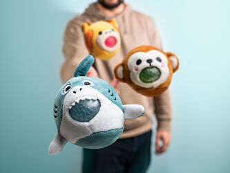 Fidget & Sensory Toys