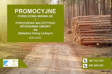 Poręczenia wadialne i poręczenia należytego wykonania umowy