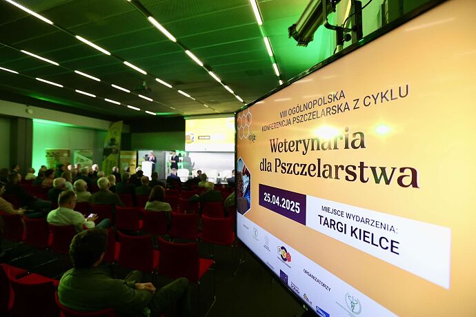486283072-997785162459574-3947065341053005079-n.jpg