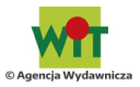 wit