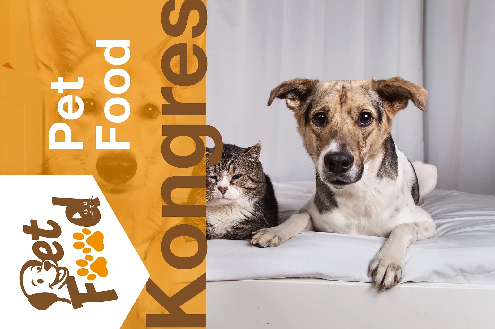 ramka-Pet-Food-Congress.png [2.71 MB]