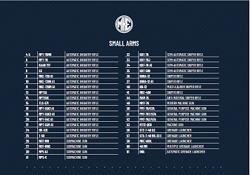 SMALL ARMS