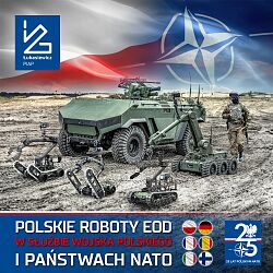 Polska-w-NATO-2024-PIAP.jpg