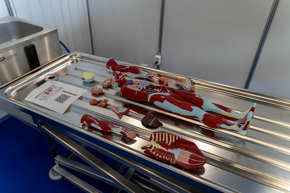 necroexpo-2024-06.jpg [103.63 KB]