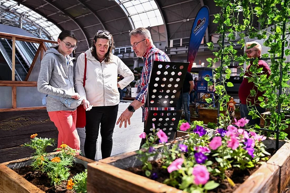 dom-2025-06.jpg [197.48 KB]