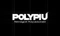 POLYPIU POLAND SPÓŁKA Z OGRANICZONĄ ODPOWIEDZIALNOŚCIĄ