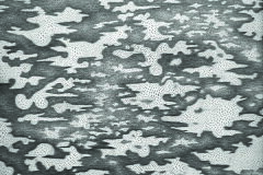 Rajca-Pawel-Geometria-pseudorozmaitosci-Pawel-Pawel.jpg