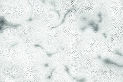 Rajca-Pawel-Geometria-pseudorozmaitosci-Pawel-Pawel.jpg