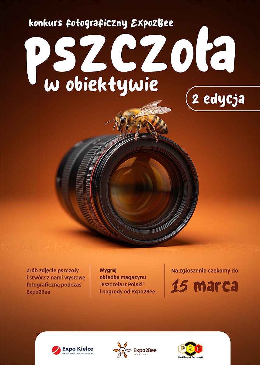 Pszczoła - natura w obiektywie - plakat