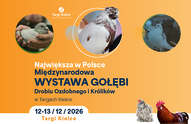 bilet-wystawa-goleb2026-666x433px-02.png