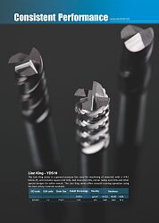 S10 Lion King Series