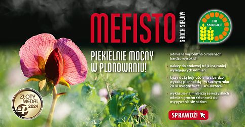mefisto-1140x600.jpg