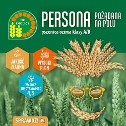 pszenica ozima Persona