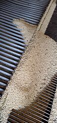 IMG-20250901-WA0009.jpg