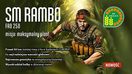 Kukurydza SM Rambo