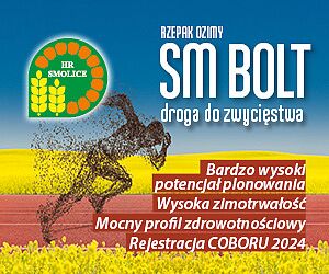 rzepak ozimy SM Bolt