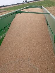 IMG-20250819-WA0050.jpg
