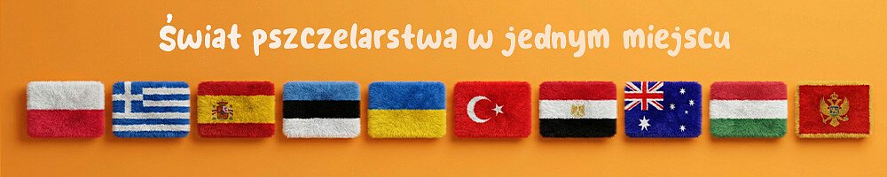 bee26-flagi-1000x200-pl.jpg [78.85 KB]