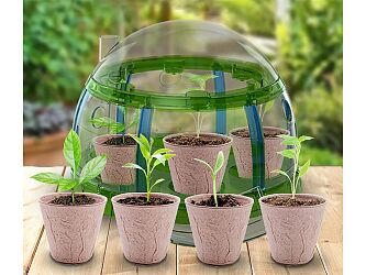 eng-pl-Little-Gardener-BIO-Set-Greenhouse-Seeds-and-Pots-for-Growing-Plants-ZA5776-22457-14.jpg