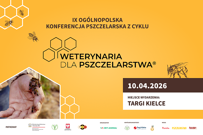 WDP-2026-www-aktualnosci.png