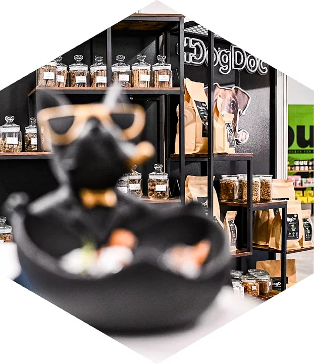 future-pet-food-05.jpg [276.29 KB]