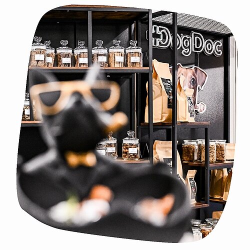 future-pet-food-05.jpg [276.29 KB]