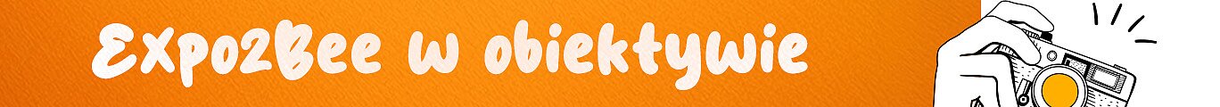 bee26-1368x120-obiektyw.jpg [59.90 KB]