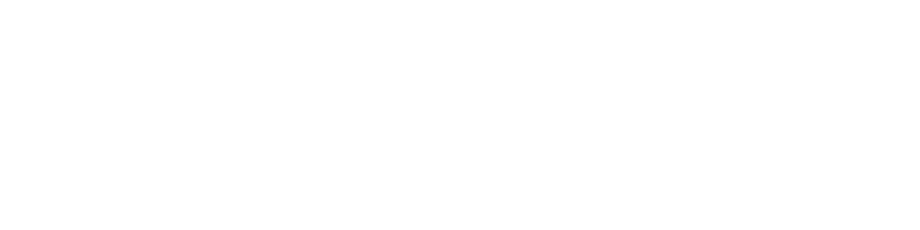 follow the signalł