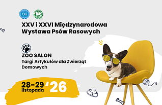 Bilet ulgowy