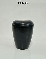 BIO-5.jpg