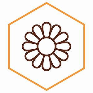expo2bee-2027-zakres-branzowy-rosliny.jpg [12.02 KB]
