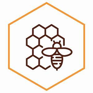 expo2bee-2027-zakres-branzowy-apiterapia.jpg [10.94 KB]