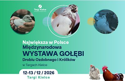 Wystawa gołębi