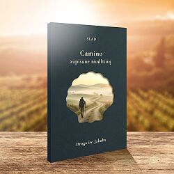 Camino-mockup.jpg