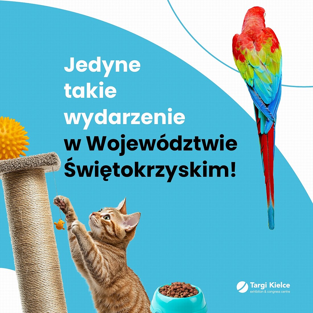 zoo-salon26-karuzela-wystawca1200x1200px-03.jpg [700.68 KB]