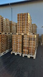 IMG-20251104-WA0000.jpg