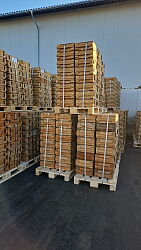 IMG-20251104-WA0000.jpg