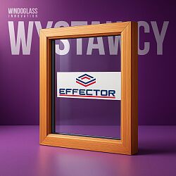 glass-wystawcy-EFFECTOR-1.jpg