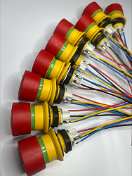 IMG-7381.png