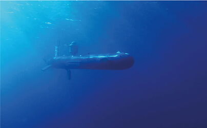 bluewhale-825x510-123.jpg