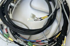 IMG-3665-1.jpg