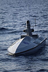 PIRANA-2-1.jpg